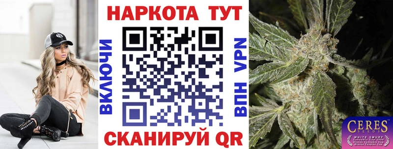 Где продают наркотики Мценск Бошки Шишки  СК  ГАШ 