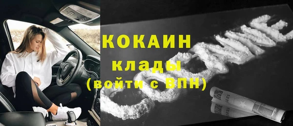 ГАЛЛЮЦИНОГЕННЫЕ ГРИБЫ Гусь-Хрустальный