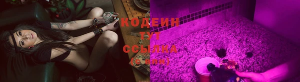 ГАЛЛЮЦИНОГЕННЫЕ ГРИБЫ Гусь-Хрустальный