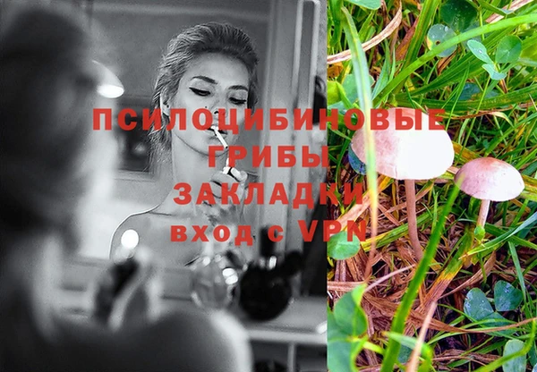 МДПВ Гусиноозёрск
