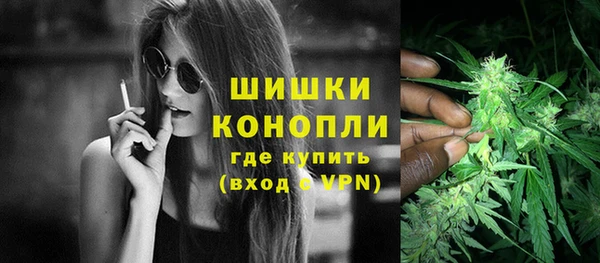 ГАЛЛЮЦИНОГЕННЫЕ ГРИБЫ Гусь-Хрустальный