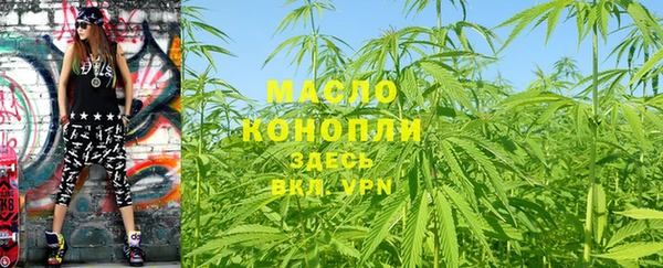2c-b Горно-Алтайск