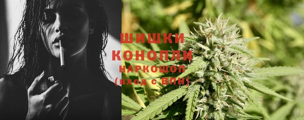 2c-b Горно-Алтайск
