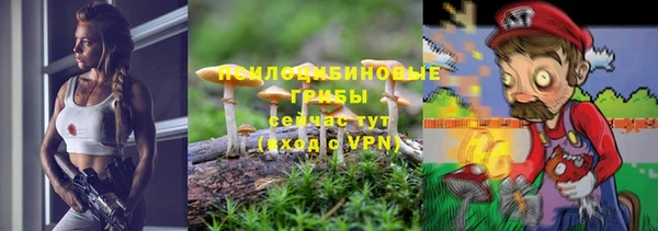 ГАЛЛЮЦИНОГЕННЫЕ ГРИБЫ Гусь-Хрустальный