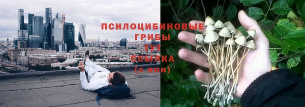 метамфетамин Гусев
