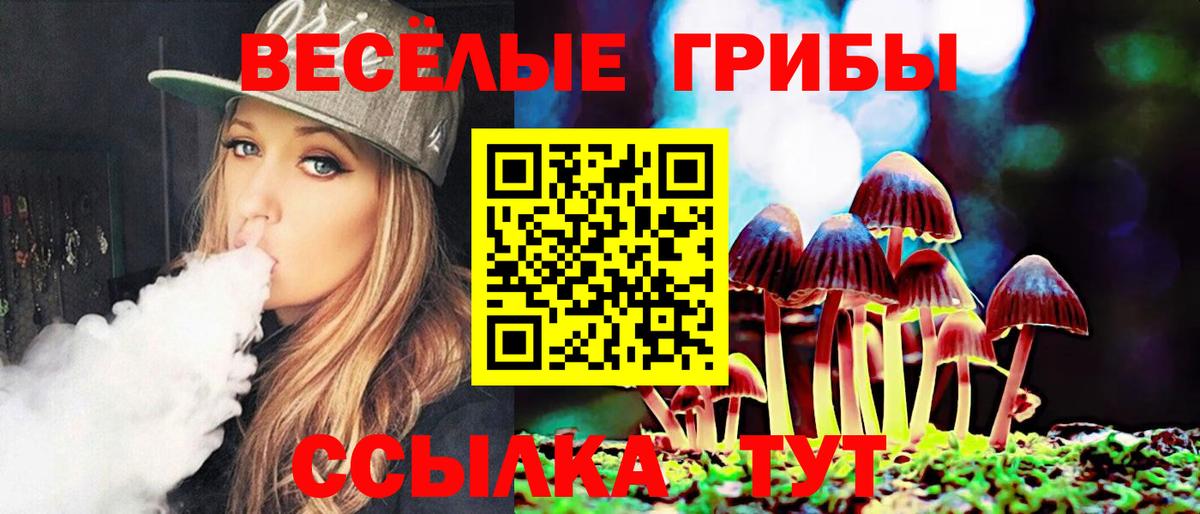Галлюциногенные грибы Psilocybine cubensis Мценск