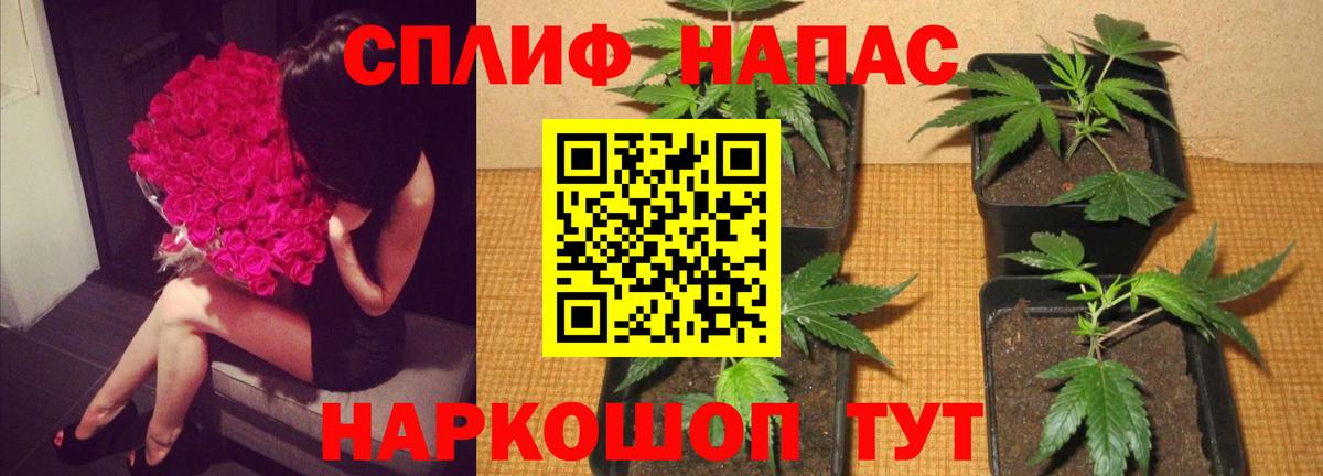 Меф мяу мяу Мценск
